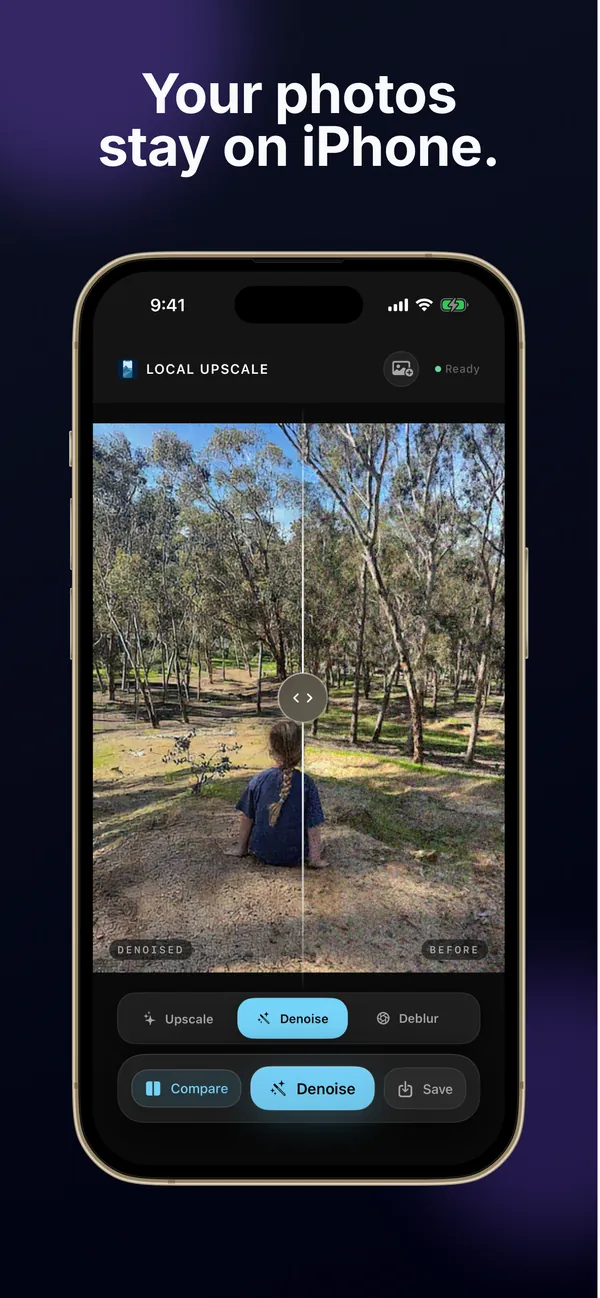 Denoise comparison of a park photo on iPhone
