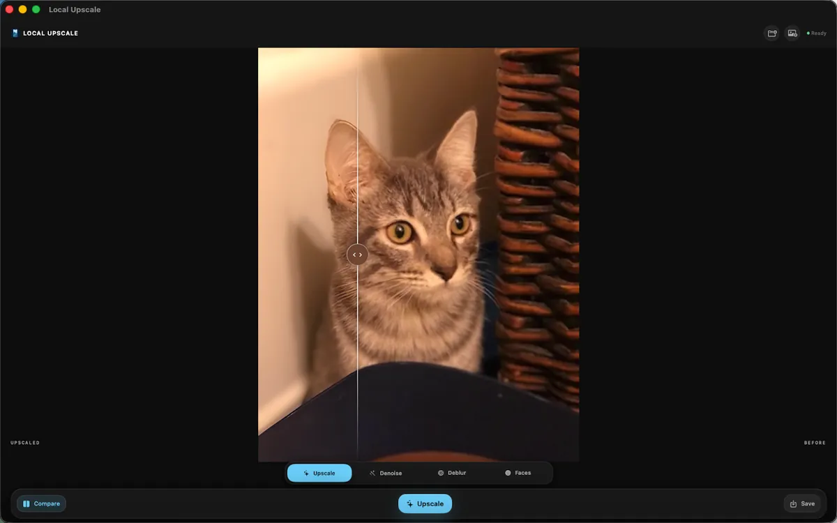 Local Photo Upscaler on Mac showing a cat photo with the comparison slider